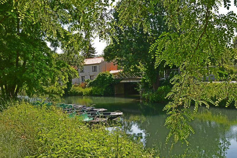 min 2025 06 08 Marais Poitevin 175